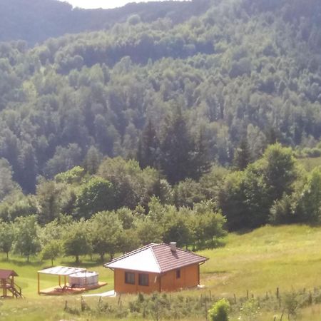 Turizam Koturovic Bed & Breakfast Ivanjica Exterior foto