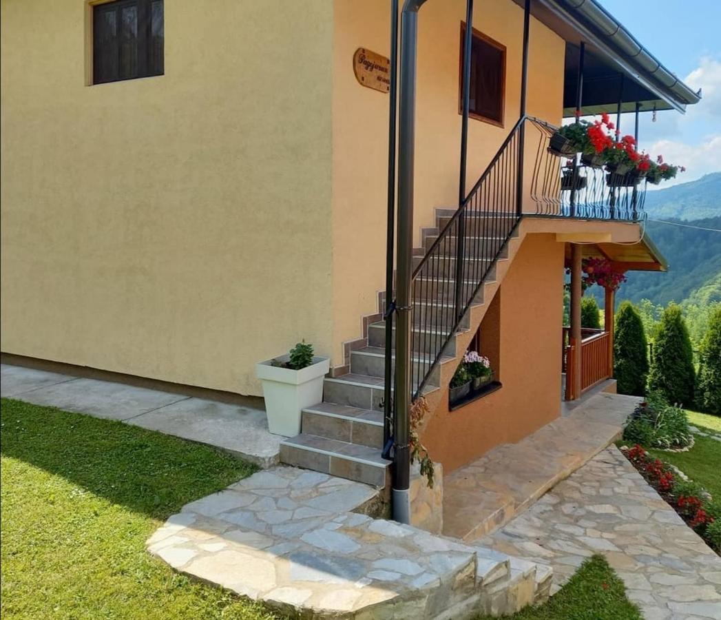 Turizam Koturovic Bed & Breakfast Ivanjica Exterior foto