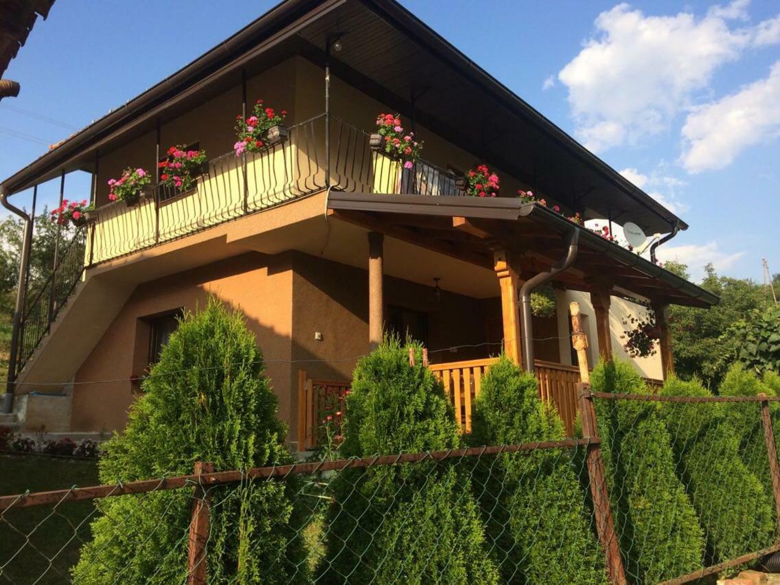 Turizam Koturovic Bed & Breakfast Ivanjica Exterior foto